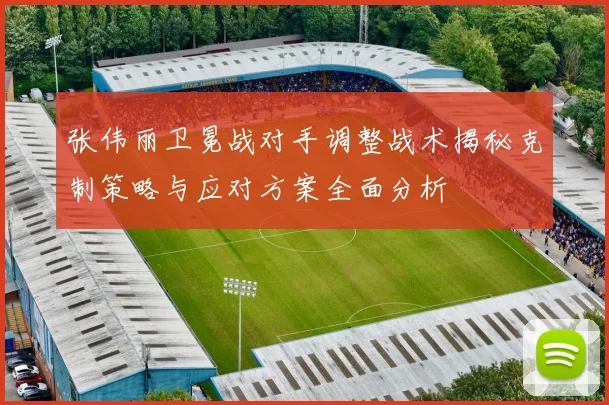 张伟丽卫冕战对手调整战术揭秘克制策略与应对方案全面分析